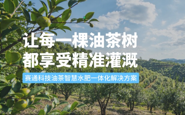 赛通科技油茶J9集团官网水肥一体化解决方案：让每一棵油茶树都享受精准灌溉
